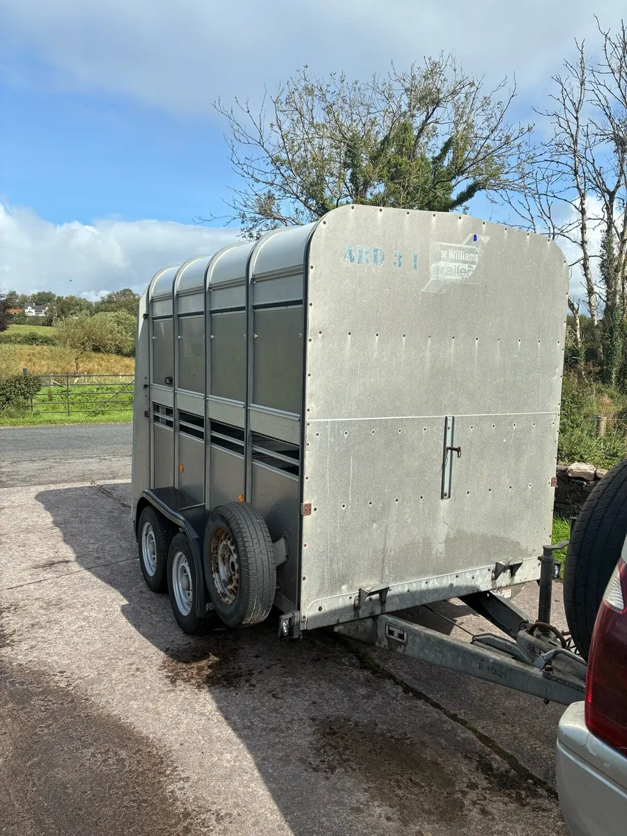 Ifor Williams cattle / sheep trailer - Image 1