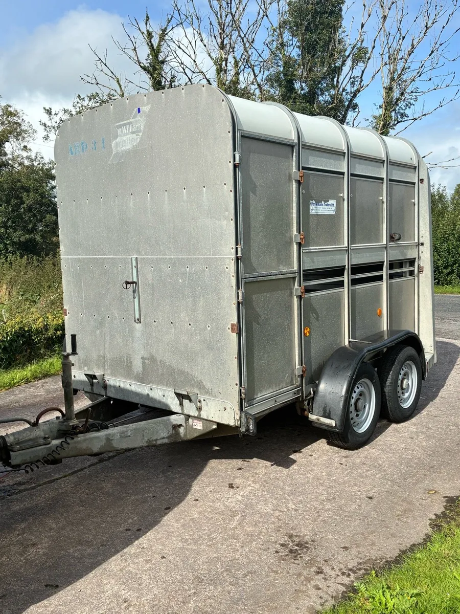 Ifor Williams cattle / sheep trailer - Image 2