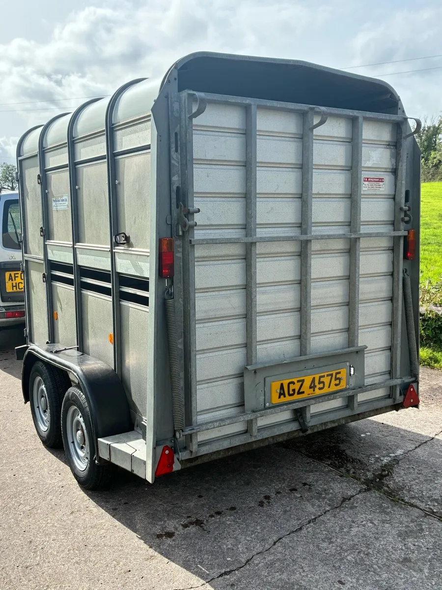 Ifor Williams cattle / sheep trailer - Image 3