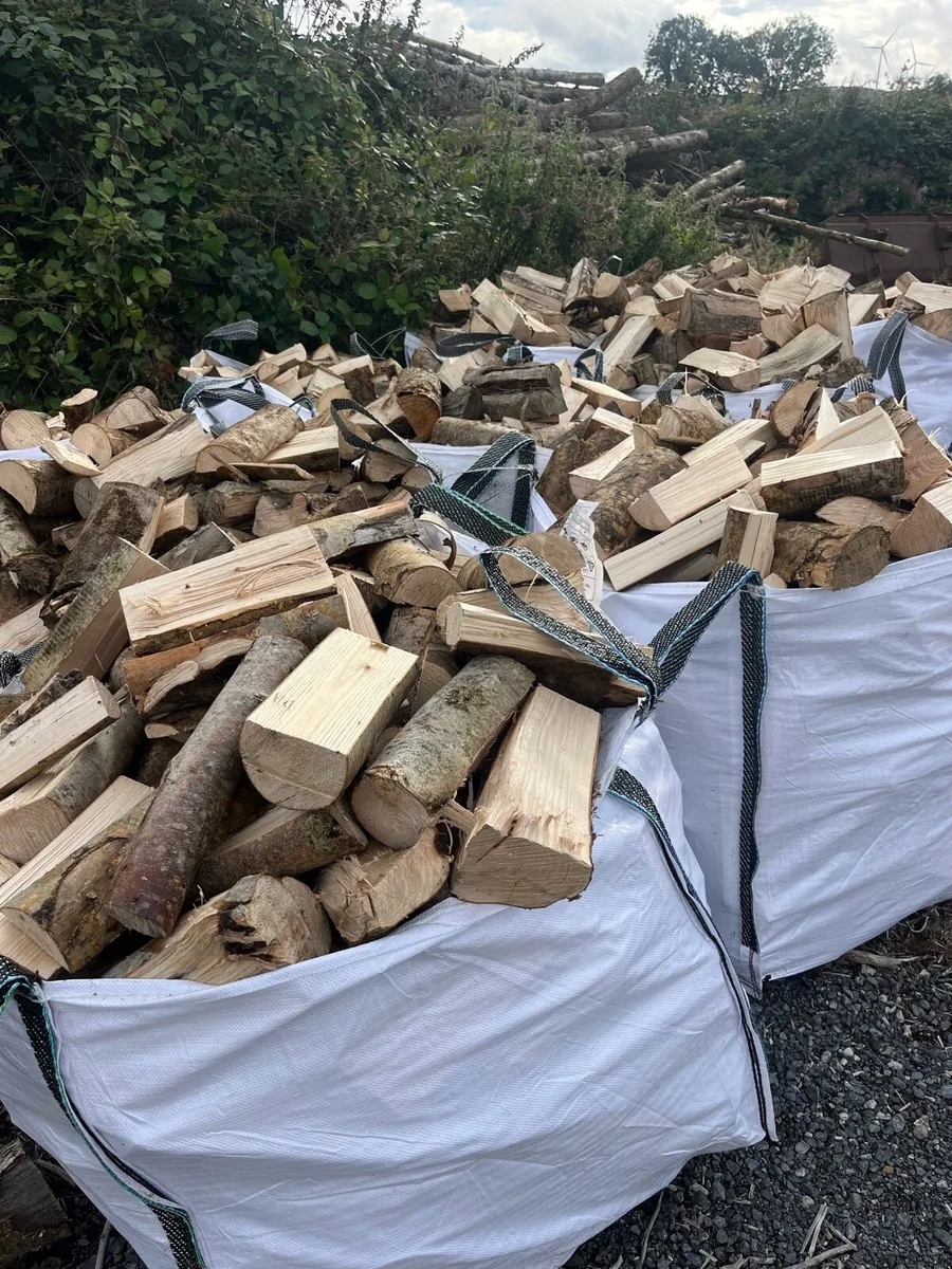 Tonne bags of ash 18% moisture 70€  a bag - Image 1