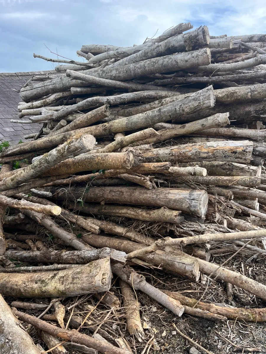 Tonne bags of ash 18% moisture 70€  a bag - Image 3