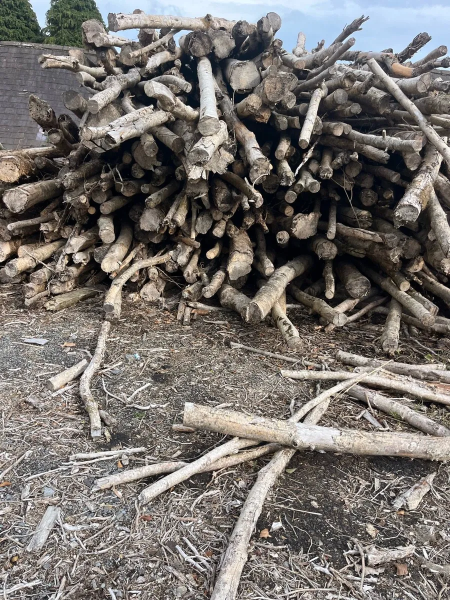 Tonne bags of ash 18% moisture 70€  a bag - Image 4