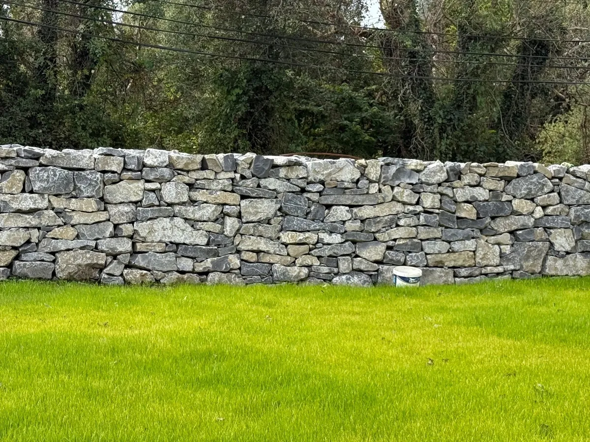 Stone - limestone - Image 1