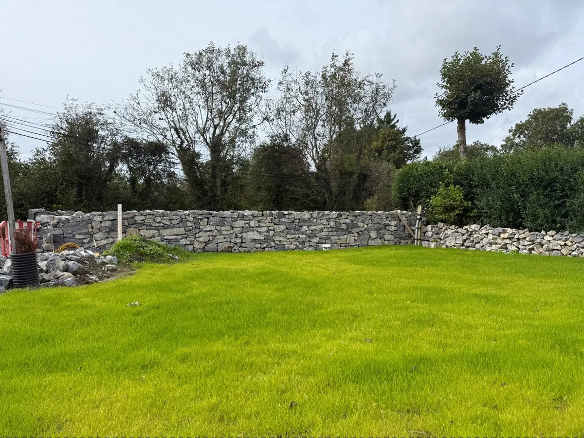 Stone - limestone - Image 4