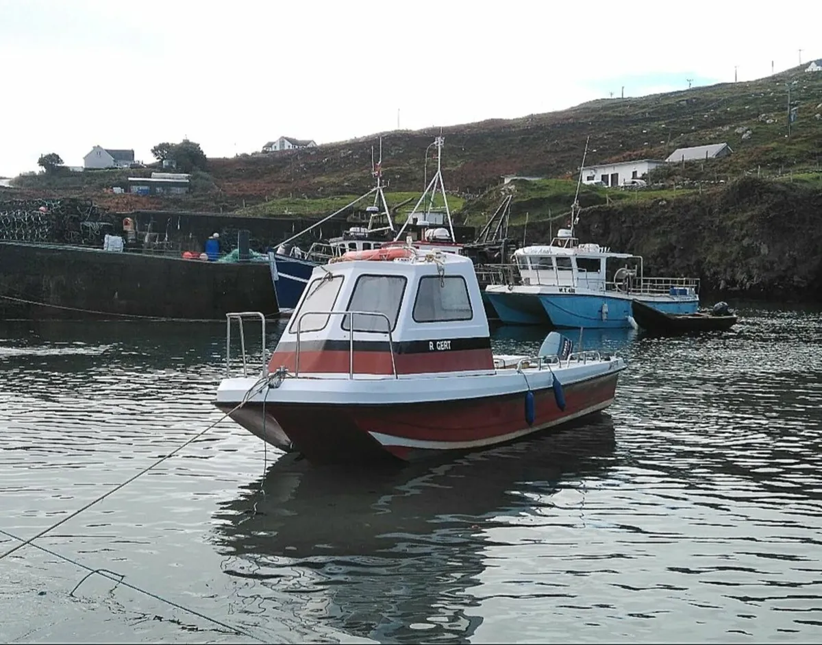 Wylson Flyer boat for sale - Image 2
