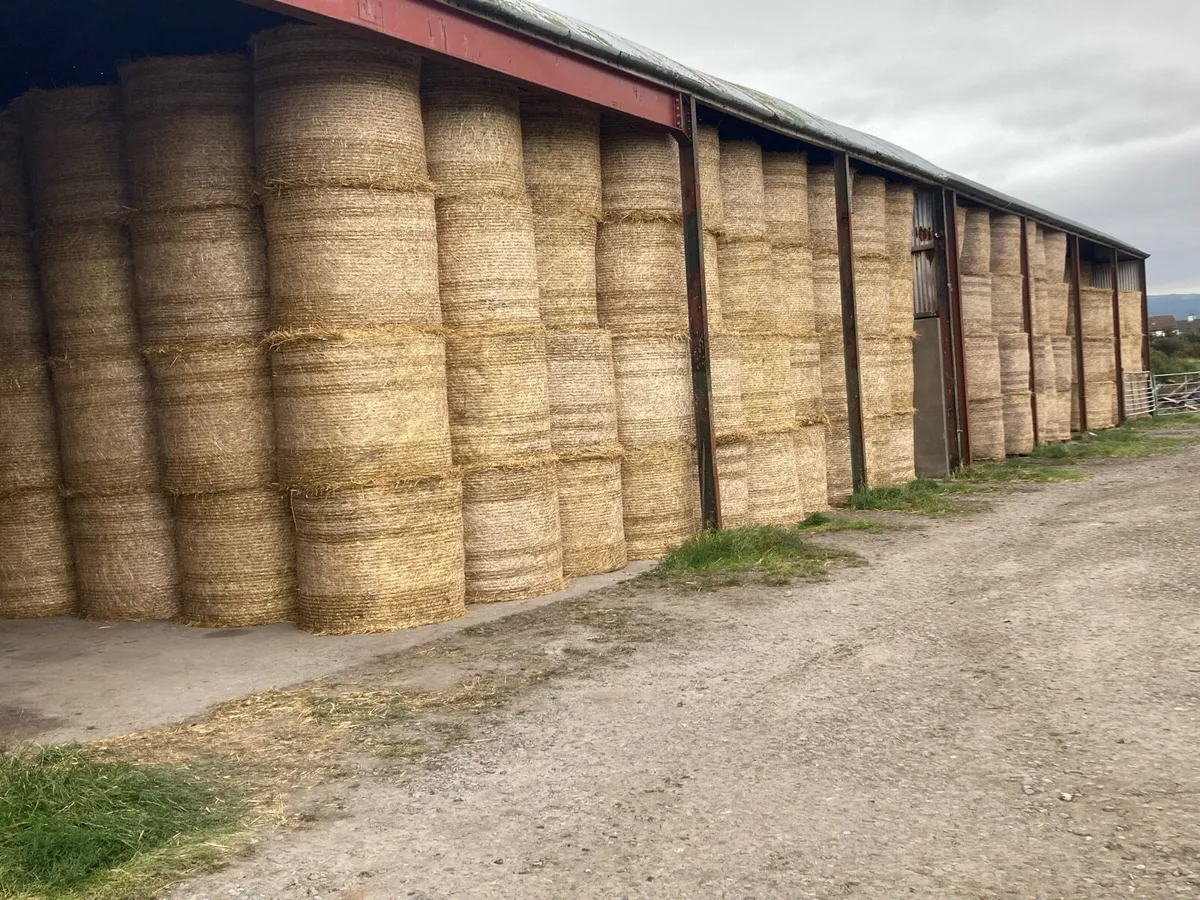 Round bales Hay & Straw - Image 1