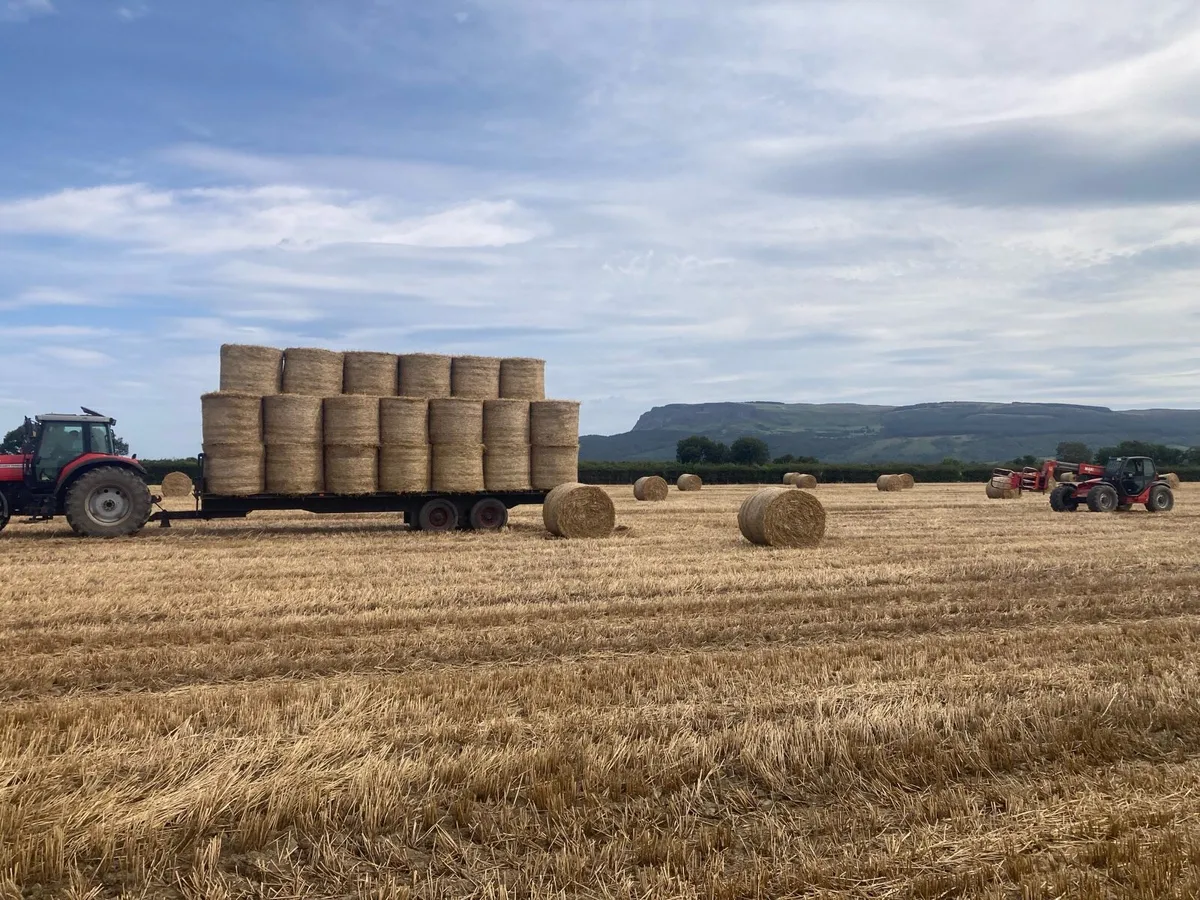 Round bales Hay & Straw - Image 4