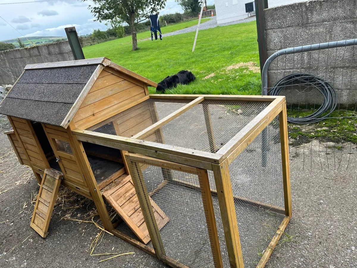 Mobile chicken coop with run - Image 4