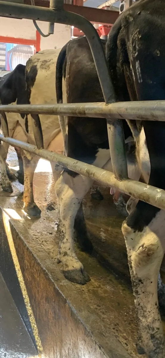 Relief milking