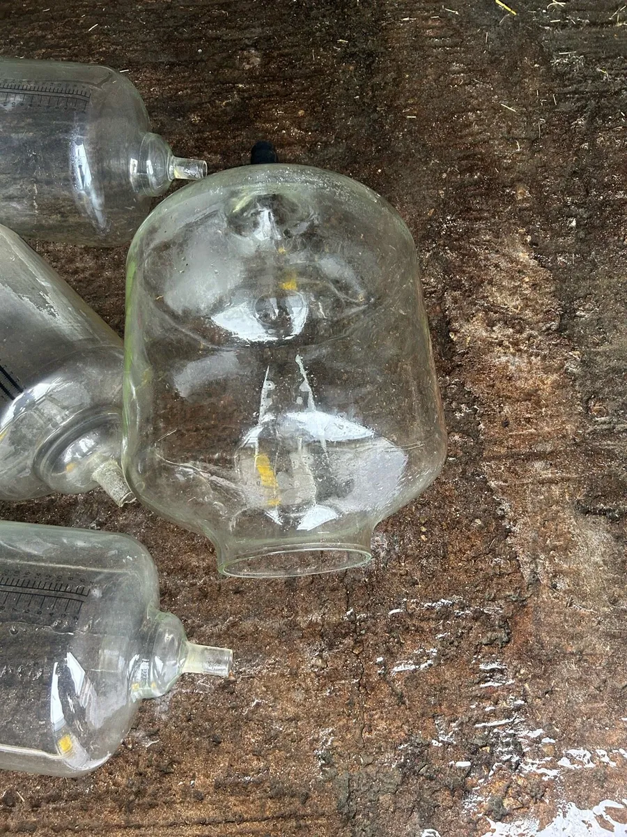 Milking jars - Image 2