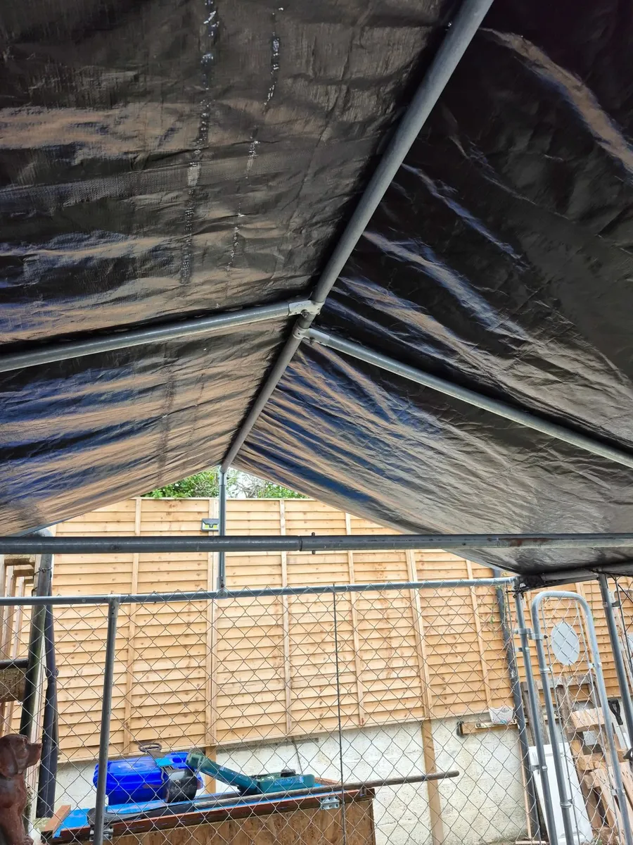 Dog enclosure - Image 3