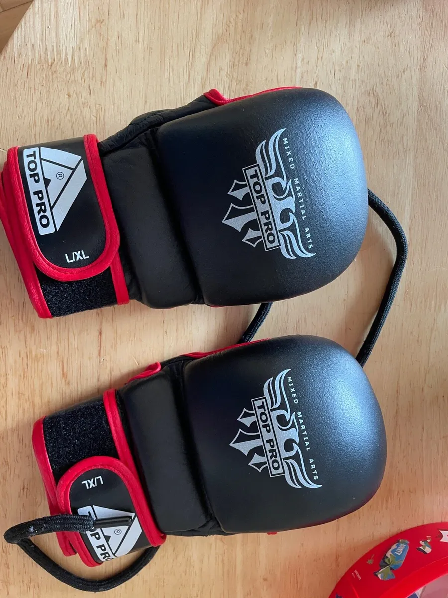 Boxing gloves with legs covers - Image 1