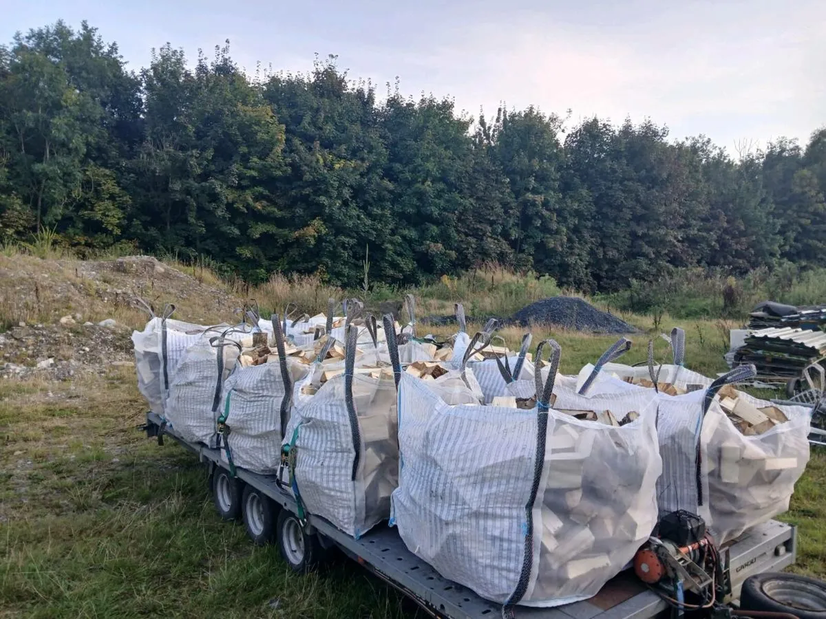 🔥🔥 firewood 🔥🔥 - Image 3