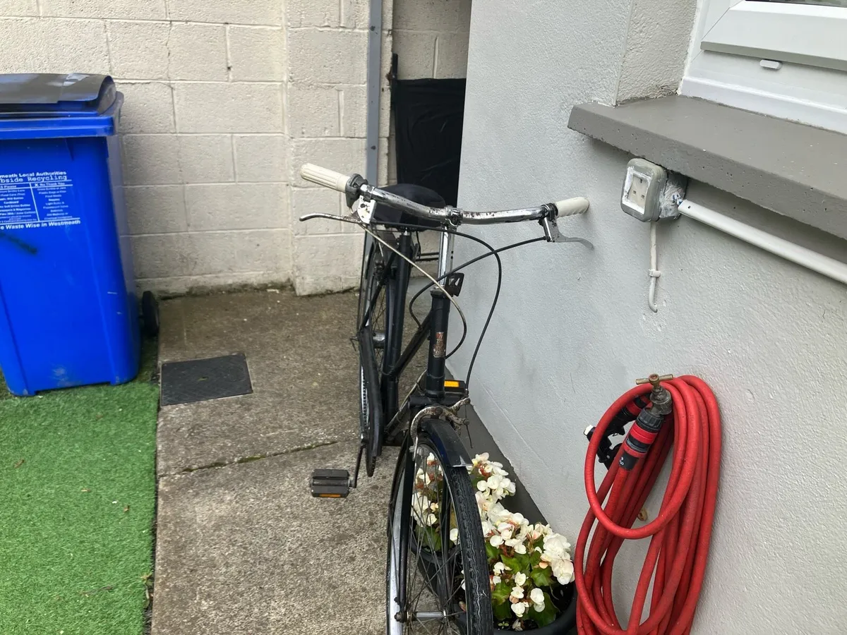 Raleigh lady’s bike - Image 2