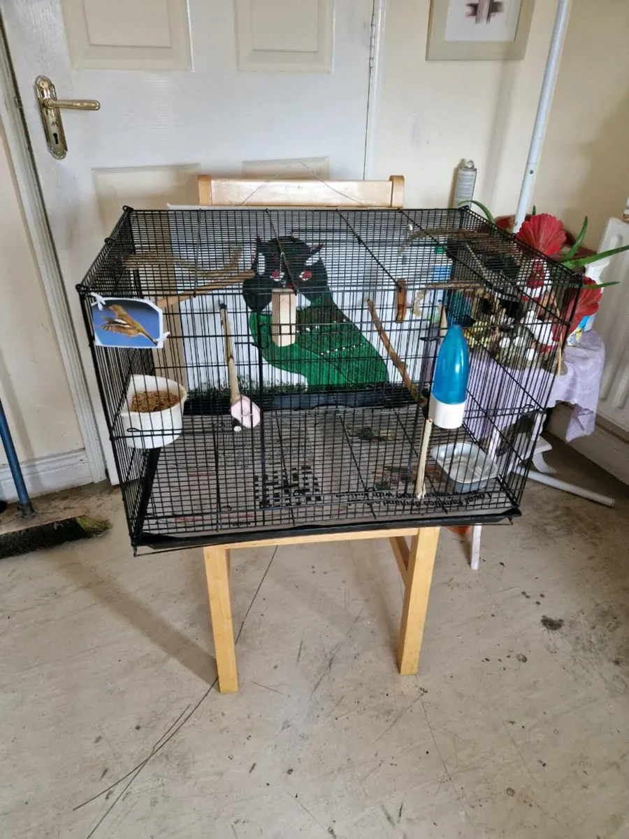 Bird and cage - Image 1