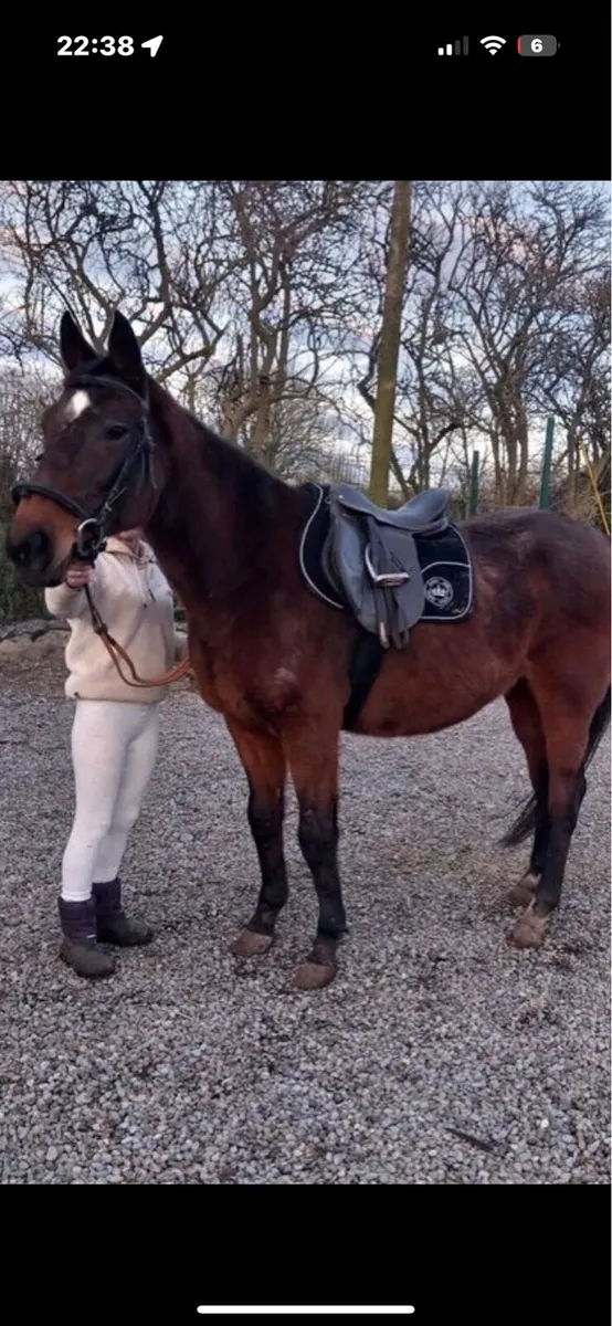 Ex racer - Image 1