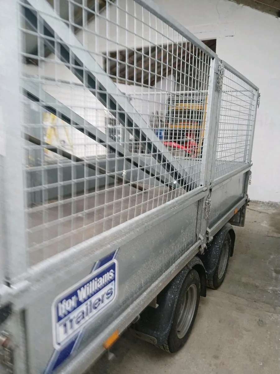 Ifor Williams Trailer 2019 10ftx5.6ft - Image 2