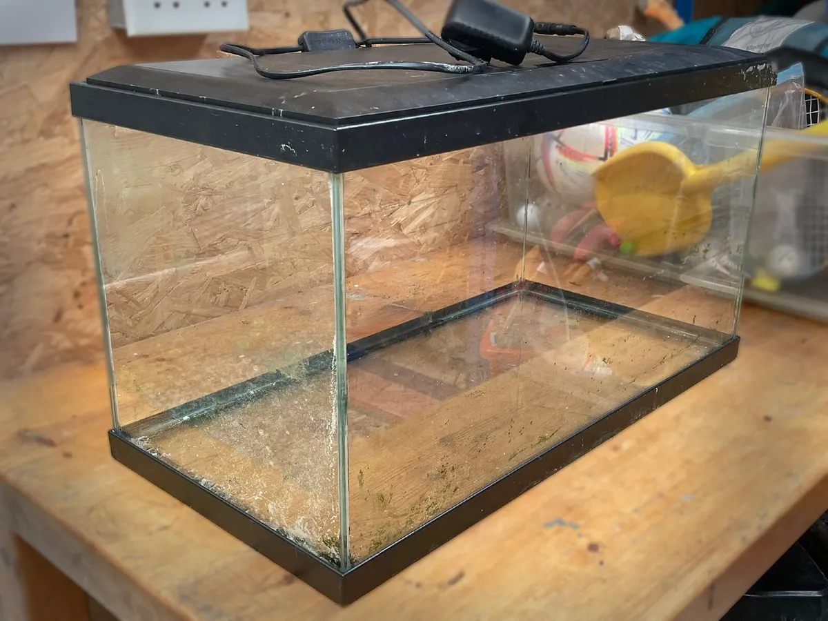 Fish tank / Turtle tank/ Aquarium - Image 1
