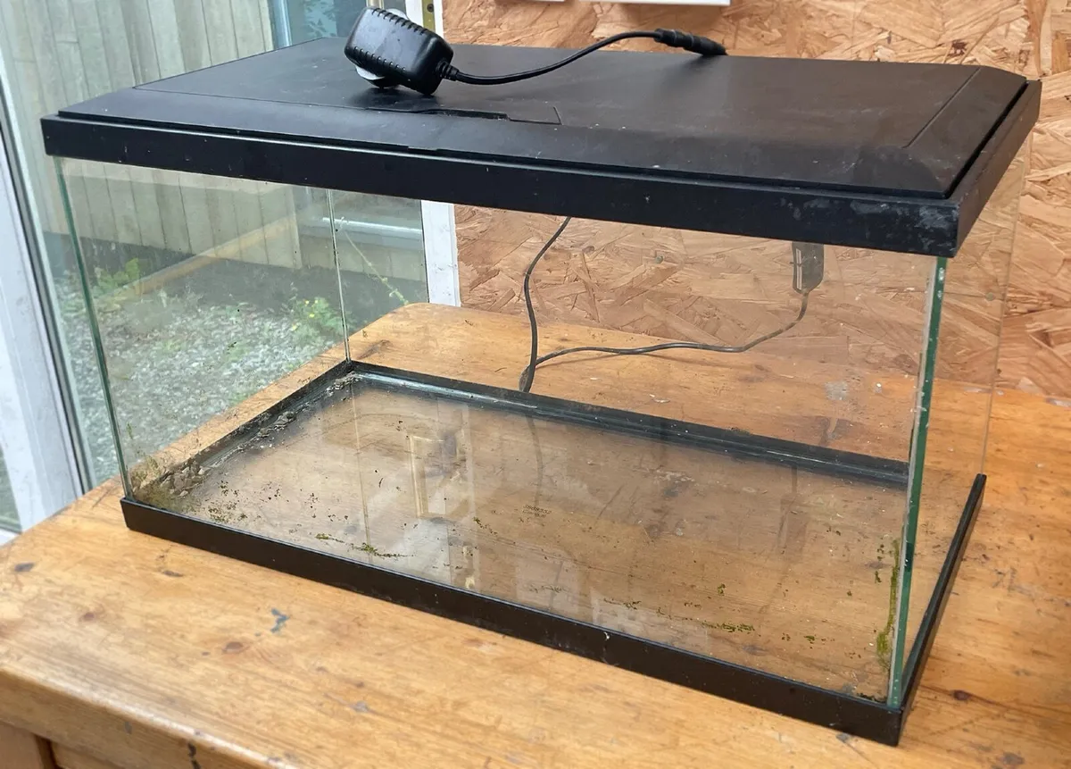 Fish tank / Turtle tank/ Aquarium - Image 3