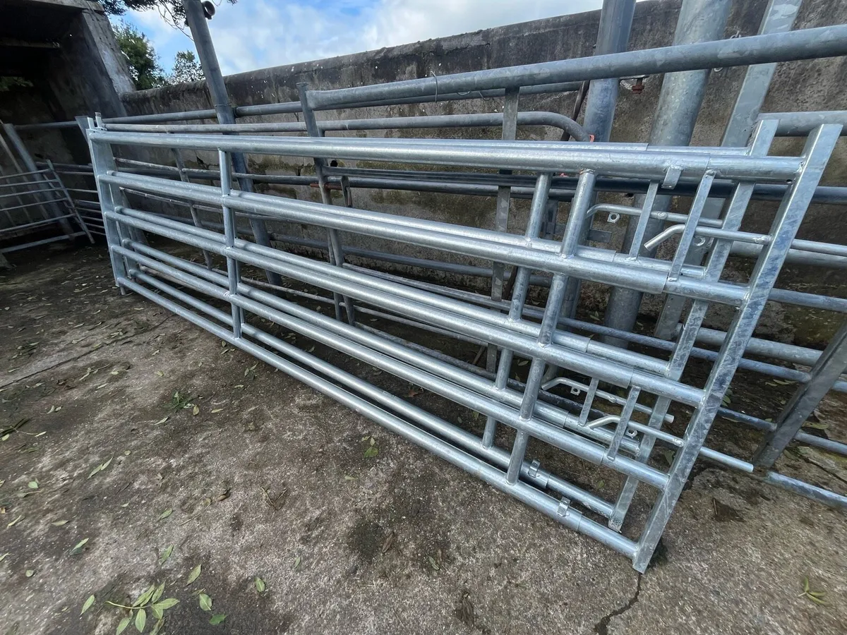 Extendable, gates and barriers - Image 4