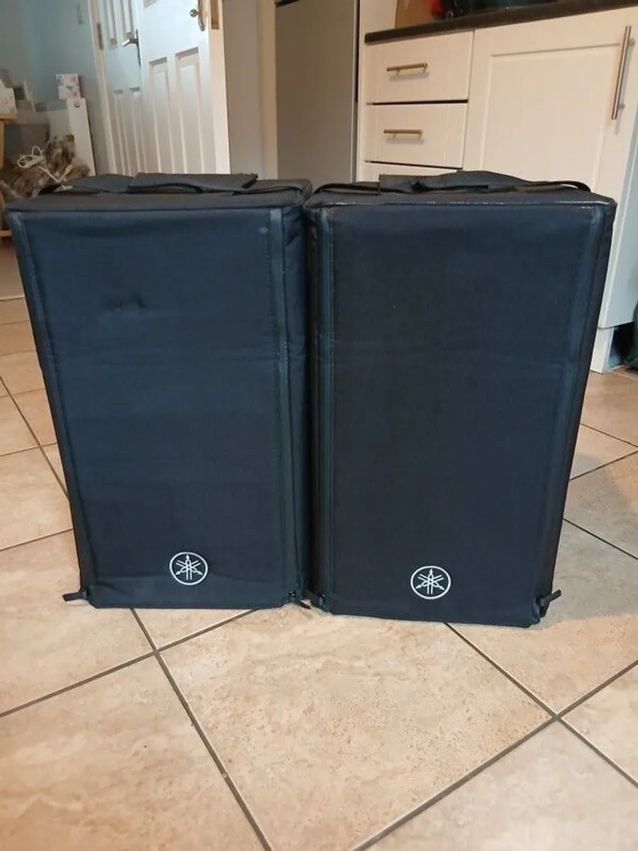yamaha dzr 10s - Image 1