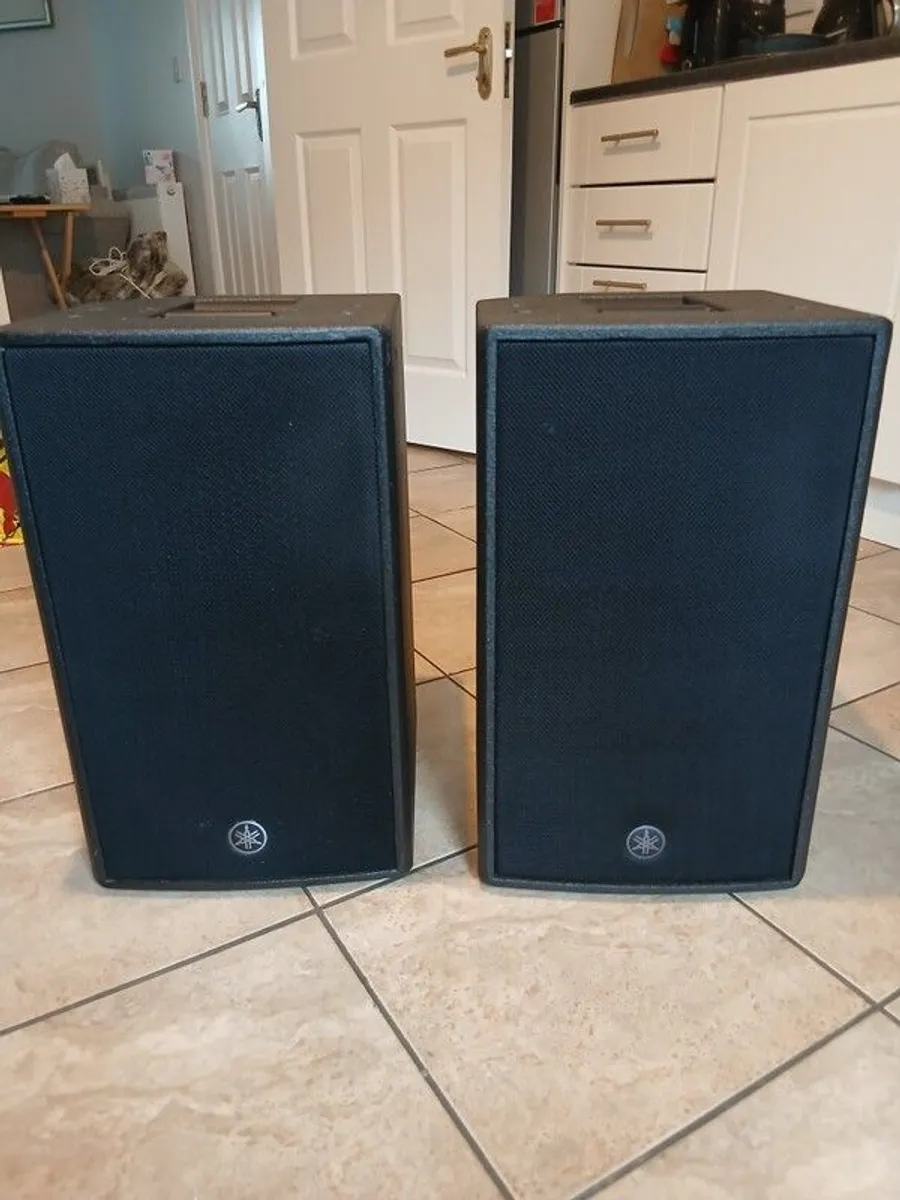 yamaha dzr 10s - Image 3