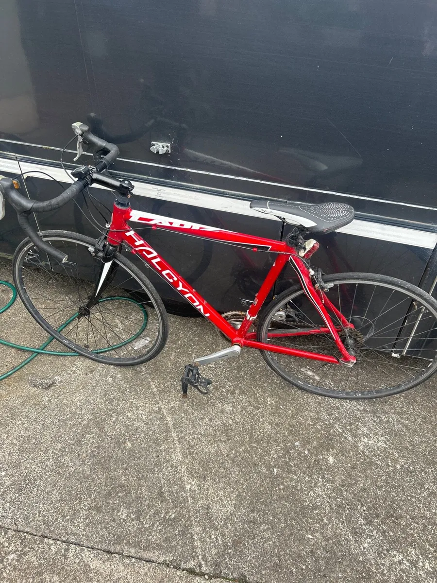 Bicycle racer