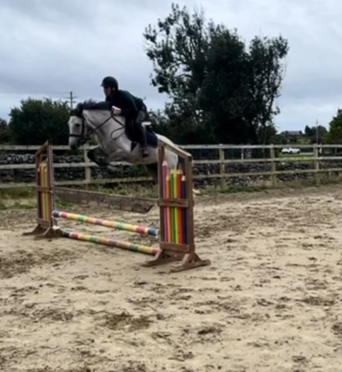 An Exciting 4 year old gelding - Image 2