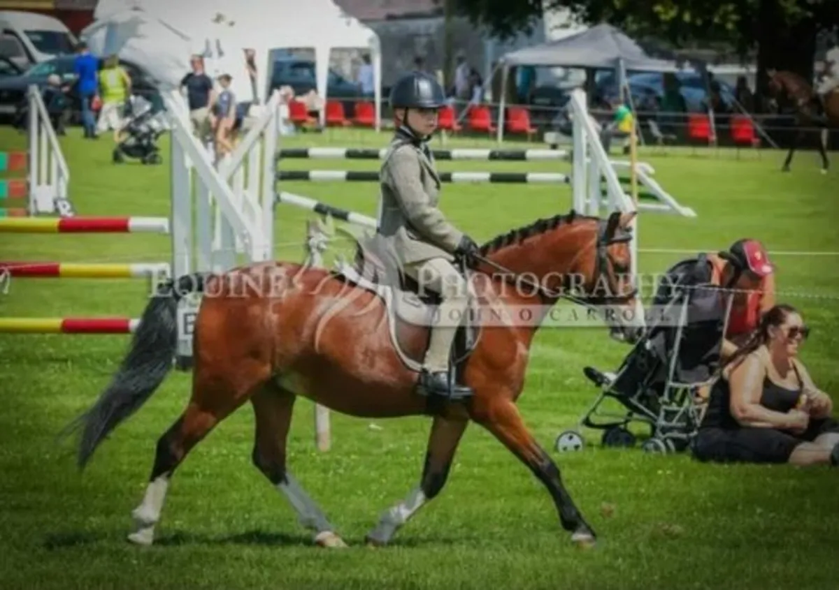 Pony - Image 1