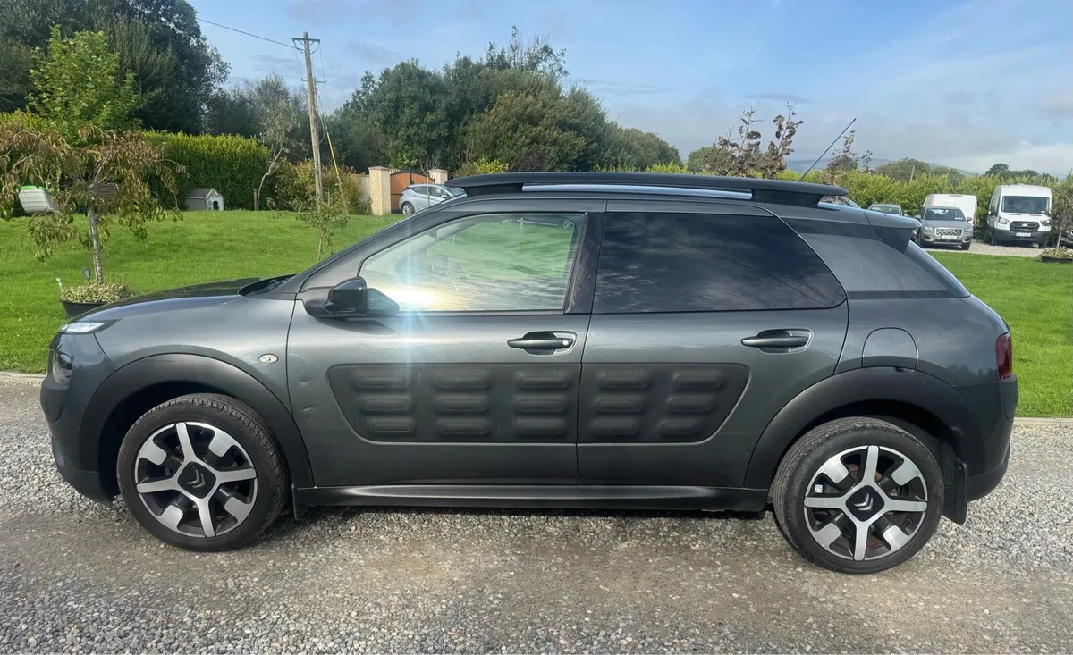 Citroen C4 Cactus - Image 3