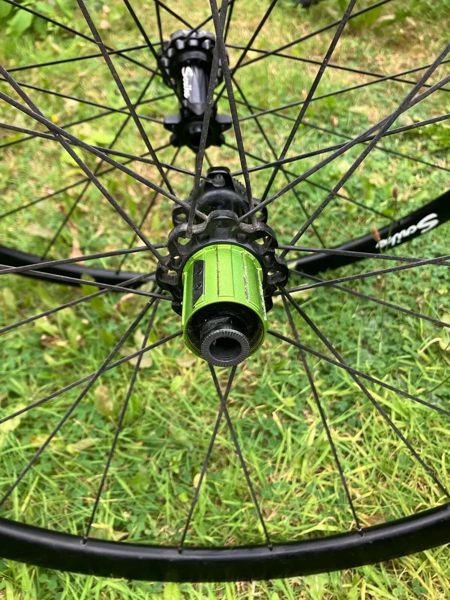 Scribe wheels race - Image 3