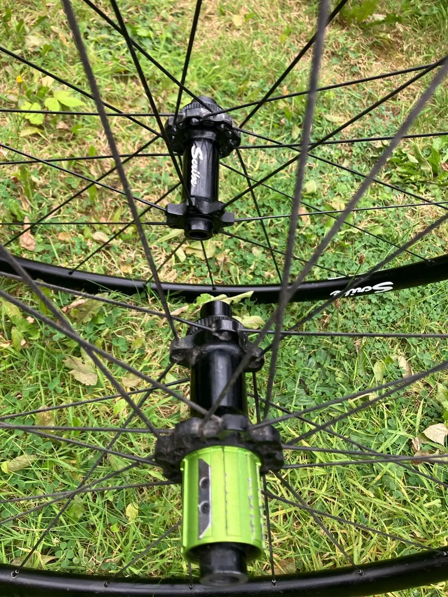 Scribe wheels race - Image 4