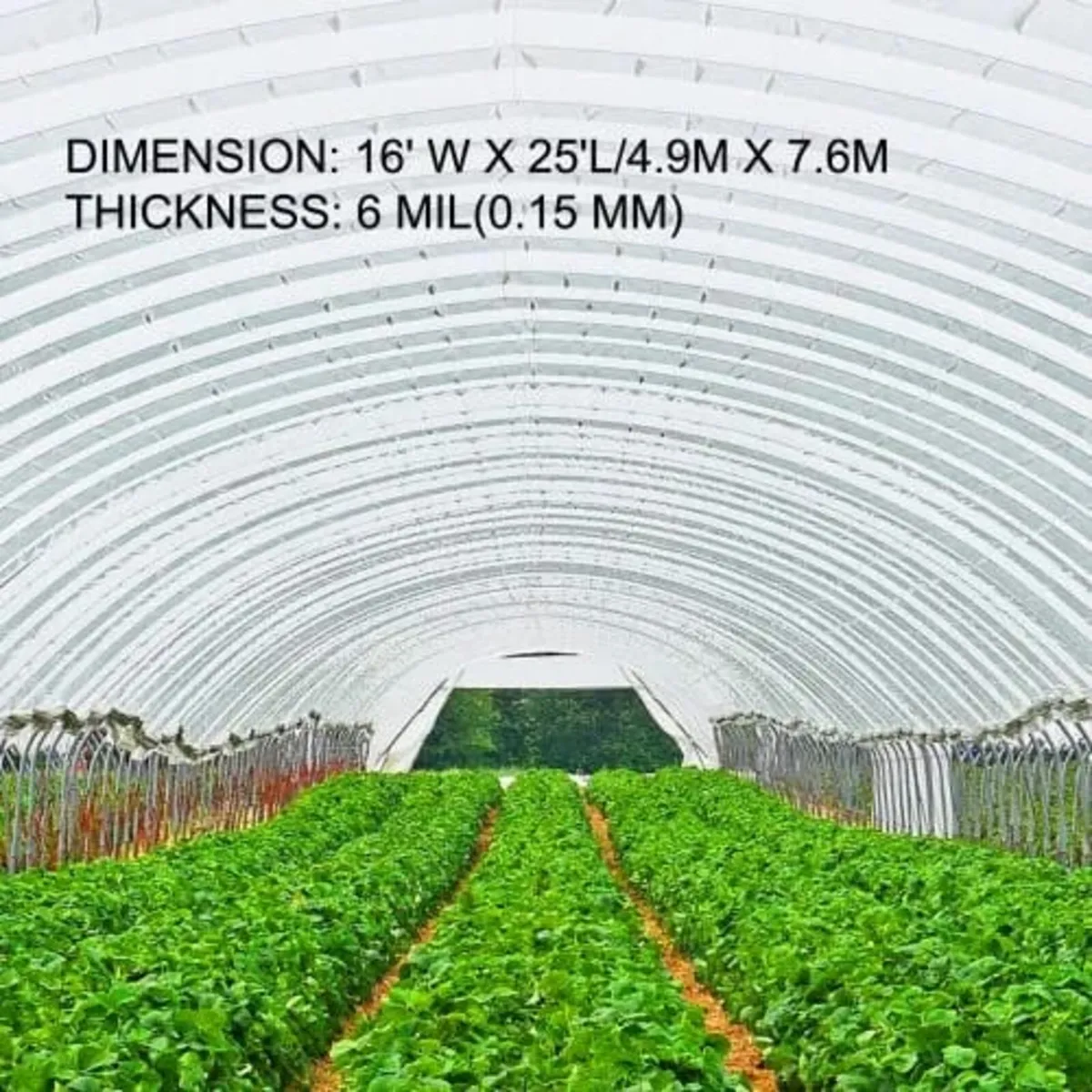 Greenhouse Film 16x25 ft, Greenhouse Polyethylene - Image 3