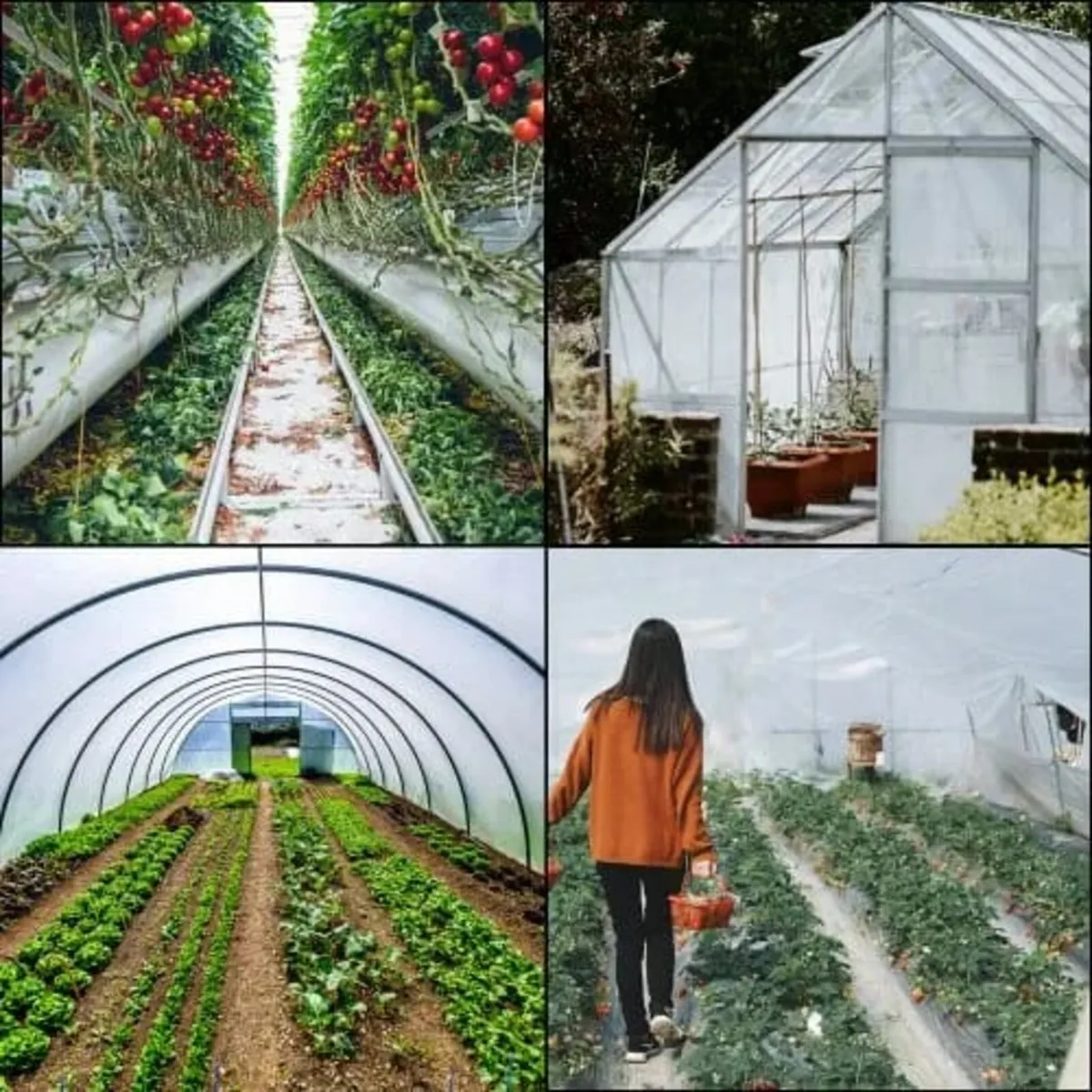 Greenhouse Film 4.5 x 12.2 m, Greenhouse Polyethyl - Image 4