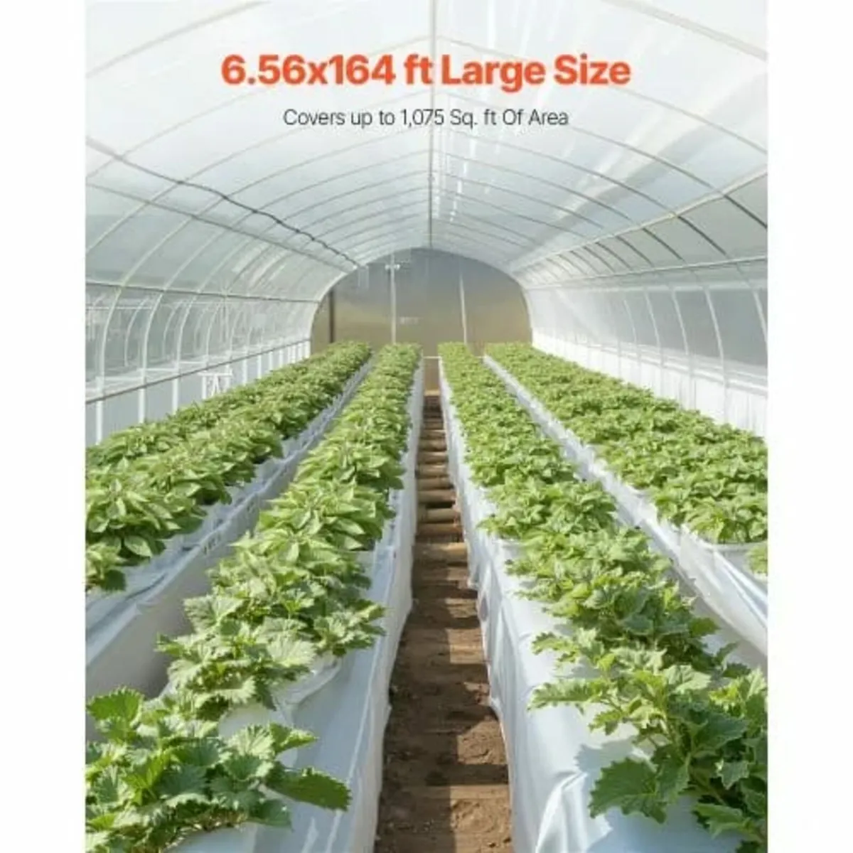 8Mil Plastic Sheeting Roll 6.5 x 164 FT Heavy Duty - Image 4