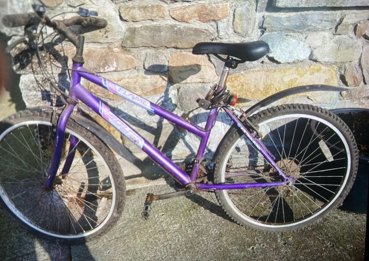 Bicycle