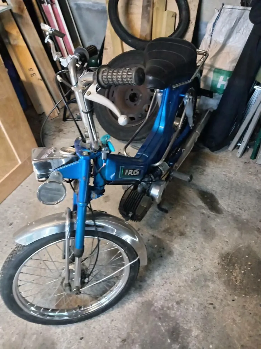 Puch maxi - Image 2