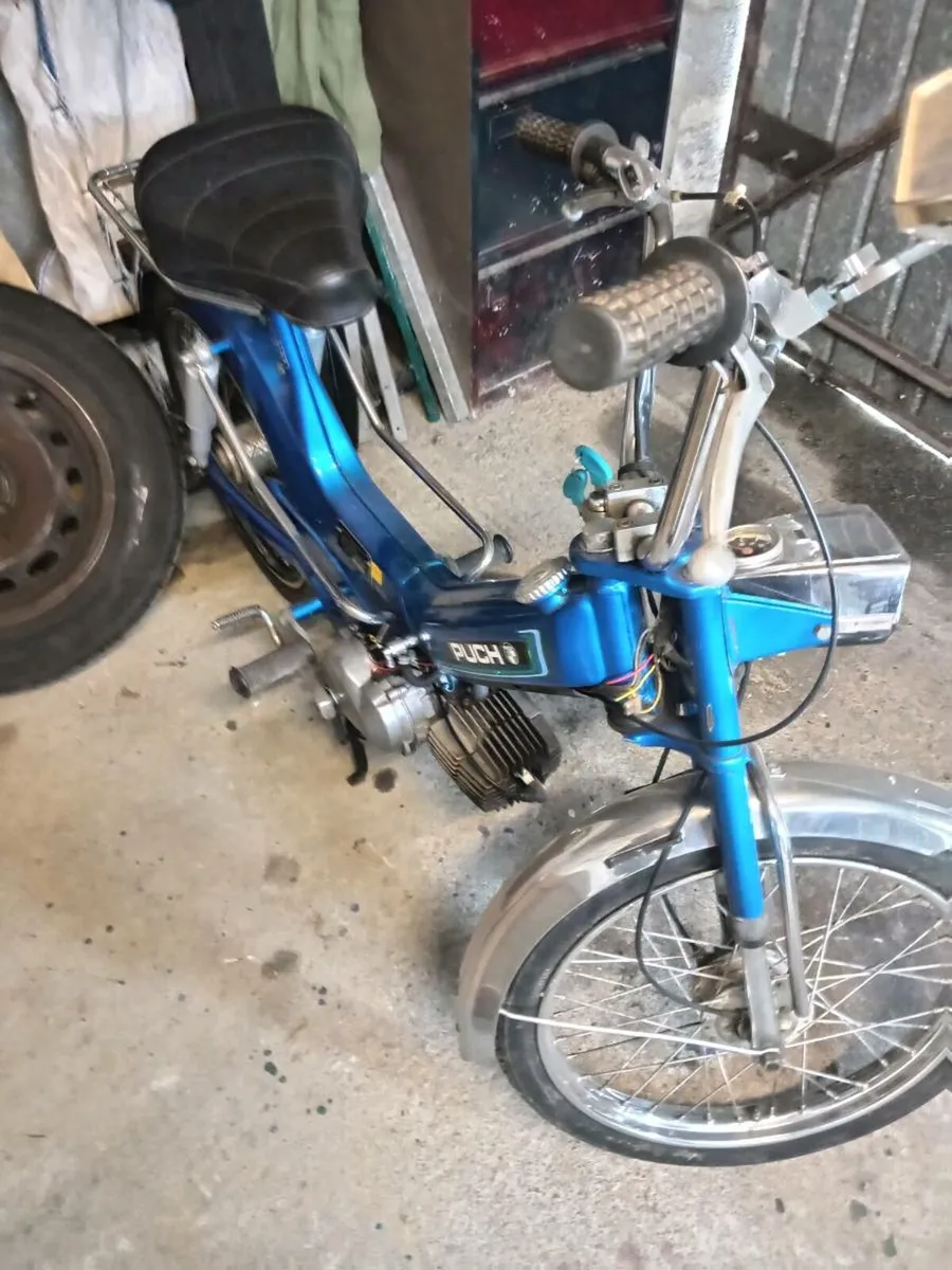 Puch maxi - Image 3