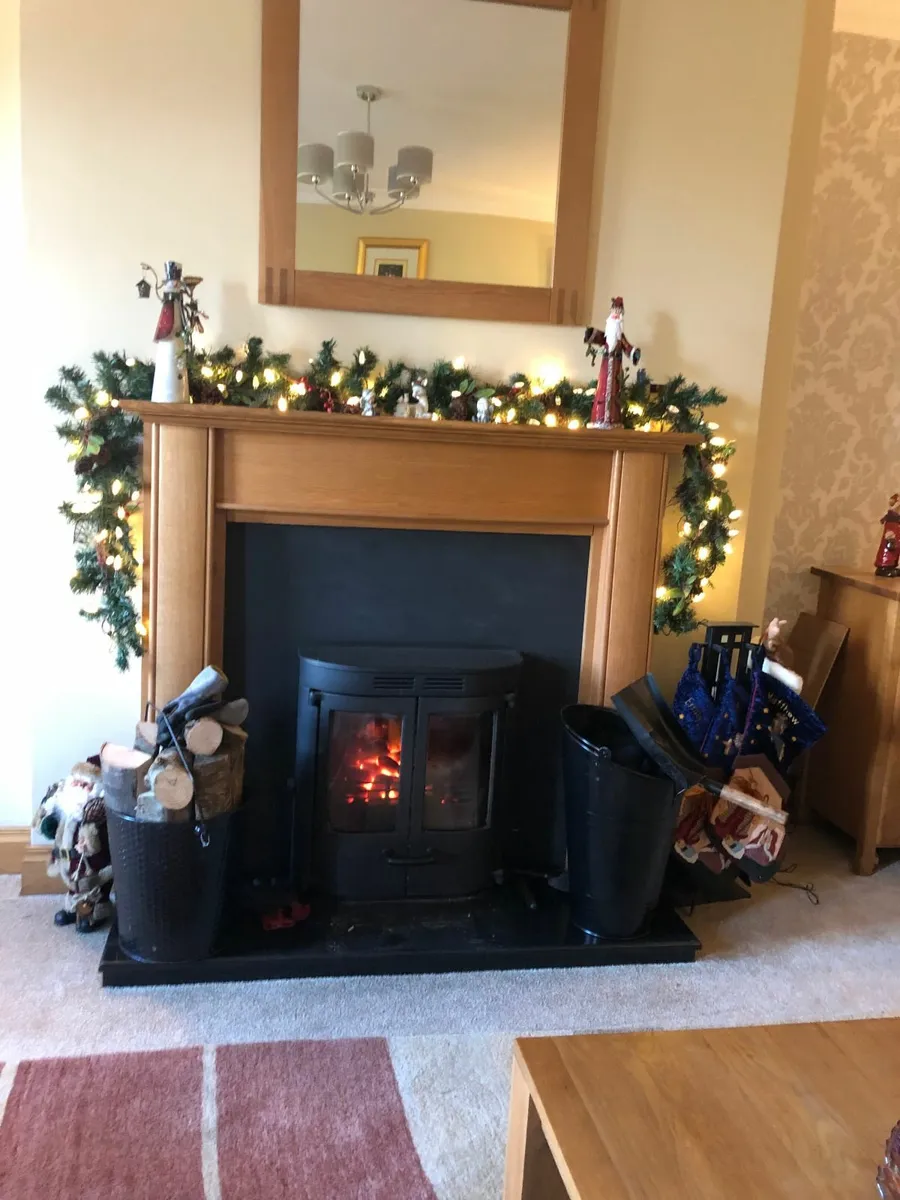Inset boiler stove - Image 2