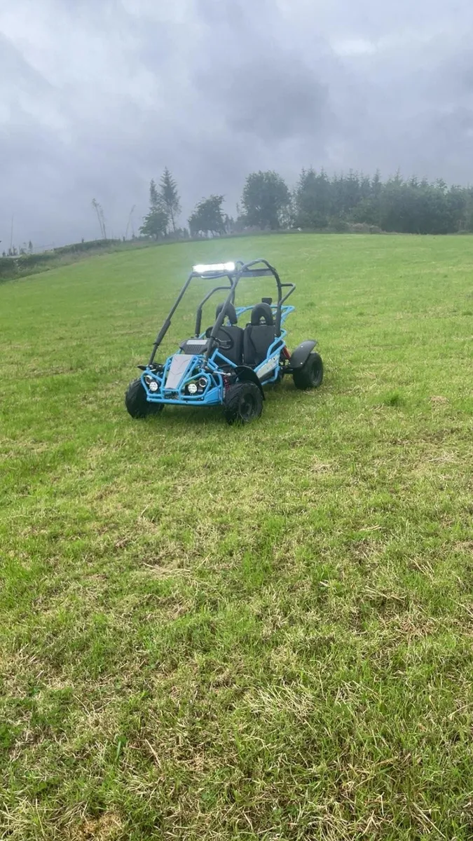 Hammerhead buggie - Image 1