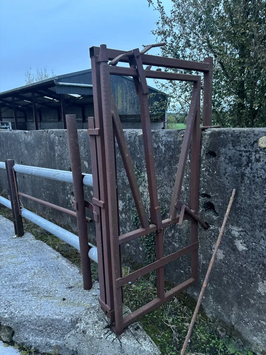 Cattle crush - Image 1