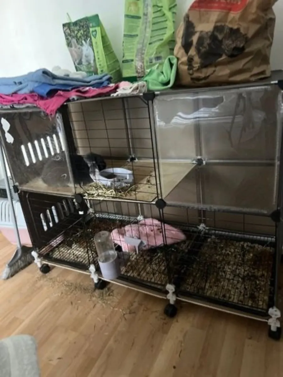 Cage - Image 1