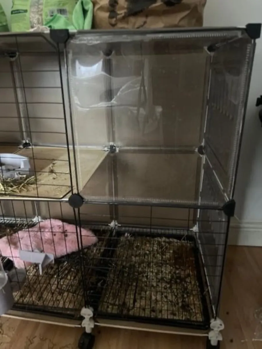 Cage - Image 2