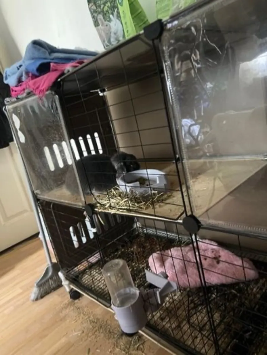 Cage - Image 3