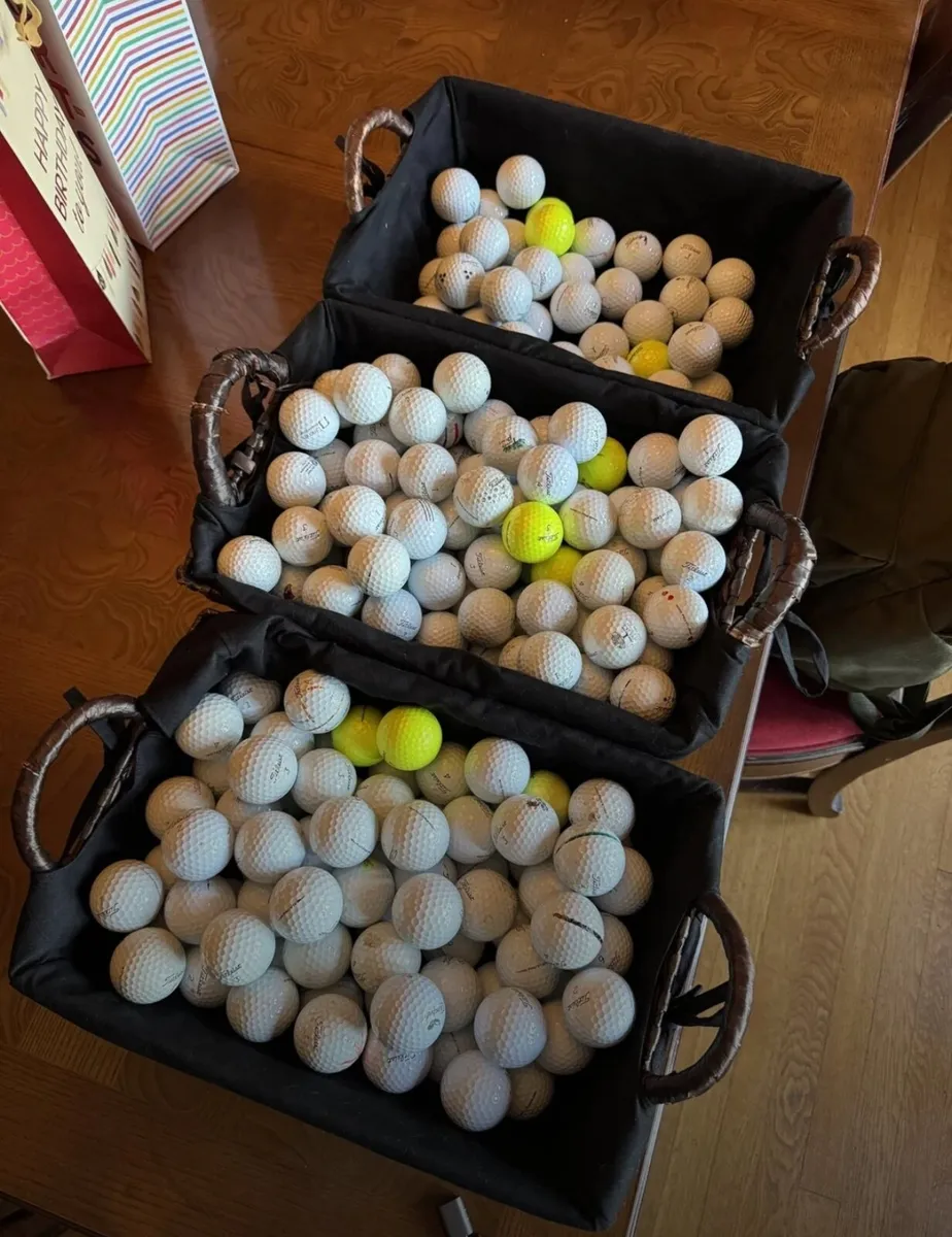 Pro v1's