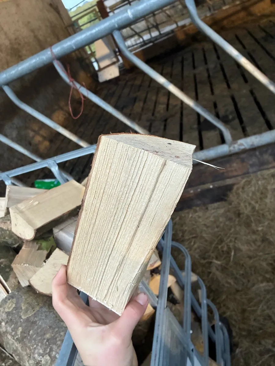 Firewood - Image 3