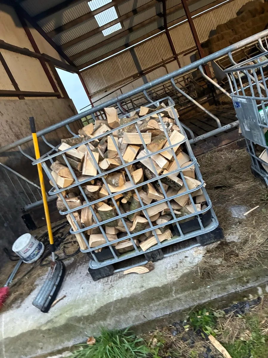 Firewood - Image 4