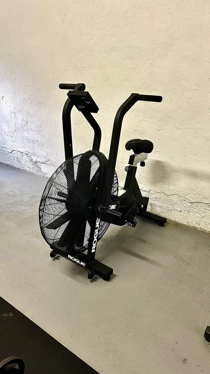 Rogue Echo Bike - immaculate condition - Image 2