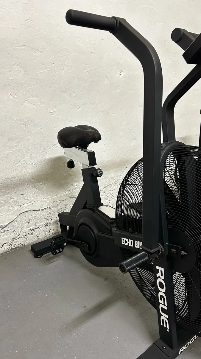 Rogue Echo Bike - immaculate condition - Image 3