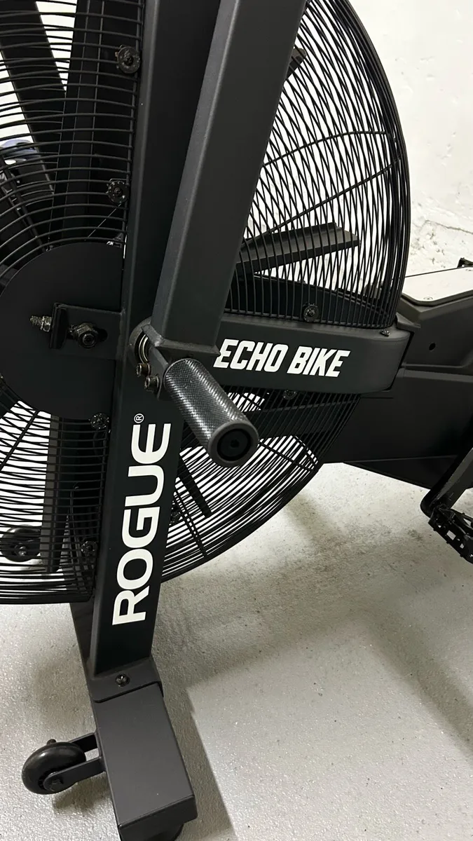 Rogue Echo Bike - immaculate condition - Image 4